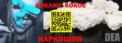 a pvp Бийск
